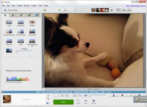 ดาวน์โหลดโปรแกรม Picasa ฟรี ดาวน์โหลดโปรแกรม Picasa ฟรี