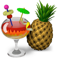 HandBrake (โปรแกรม HandBrake แปลงไฟล์ DVD เป็น MP4) : 