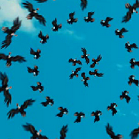 Machete Video Editor : 