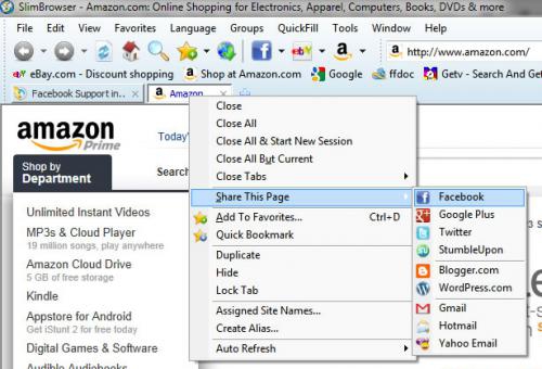 โหลดโปรแกรม SlimBrowser