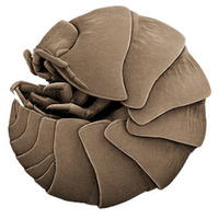 Keka (โปรแกรม Keka บีบอัดไฟล์ บน Mac)