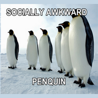 Free Meme Maker (โปรแกรมเขียนข้อความลงภาพ)