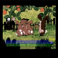 Cute Video Watermark Free (โปรแกรมใส่ลายน้ำในวิดีโอ) : 