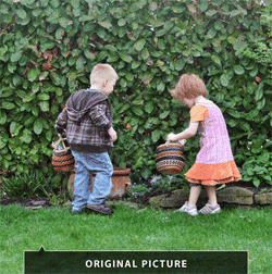 โปรแกรมแต่งรูป Photomizer