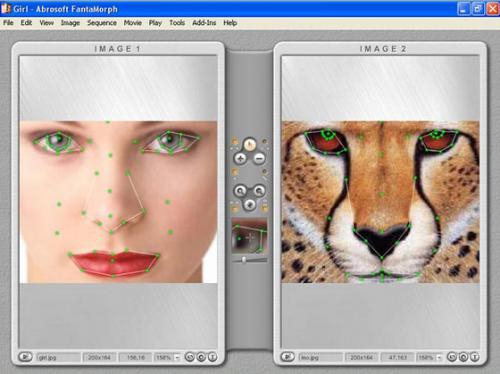 โปรแกรมแต่งรูป Abrosoft FantaMorph