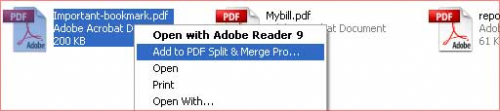 โปรแกรมรวมไฟล์ AWinware Pdf Split Merge Pro