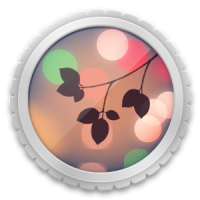 Background Defocus (App ถ่ายรูปหน้าชัดหลังเบลอ)