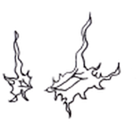 Hybrid (โปรแกรม Hybrid แปลงไฟล์วิดีโอคุณภาพสูง)