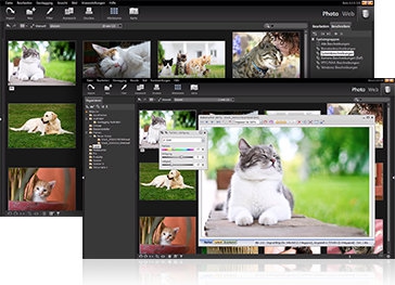 โปรแกรมจัดการรูปภาพ แต่งรูป Studioline Photo Basic โปรแกรมจัดการรูปภาพ แต่งรูป Studioline Photo Basic