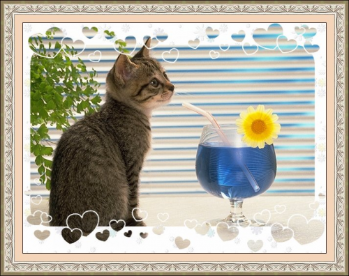 โปรแกรมแต่งรูป PhoXo