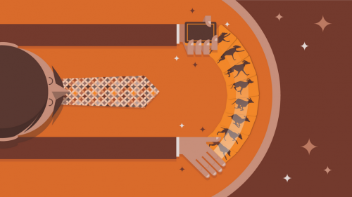 โปรแกรม Adobe Flash Professional