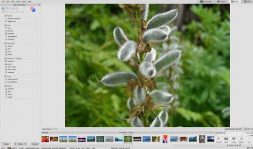โปรแกรมจัดการรูปภาพ ACDSee โปรแกรมจัดการรูปภาพ ACDSee