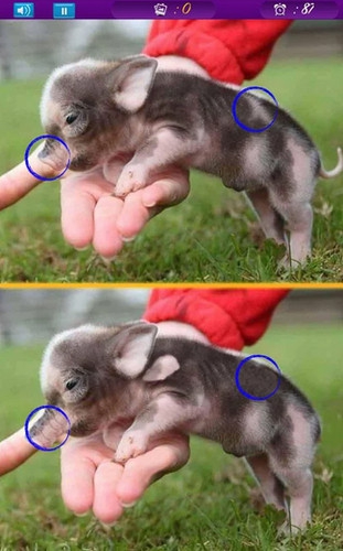  App เกมส์จับผิดภาพเหมือน Photo Spot