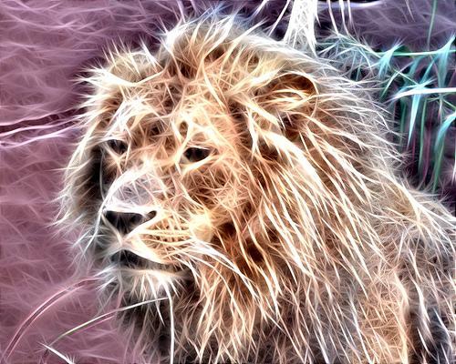 G MIC (โปรแกรม แต่งรูปสำเร็จรูป ฟรี G MIC) : G MIC (โปรแกรม แต่งรูปสำเร็จรูป ฟรี G MIC) :