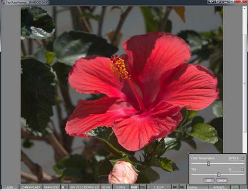 โปรแกรมเปิดไฟล์ภาพดิบ FastRawViewer
