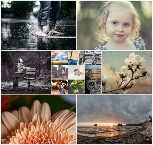 โปรแกรมดูรูป onOne Perfect Photo