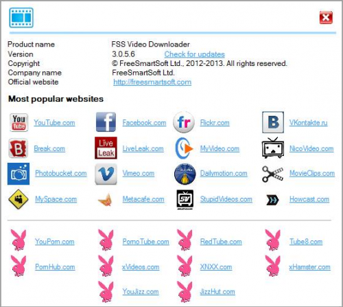 โปรแกรมช่วยดาวน์โหลด FSS Video Downloader