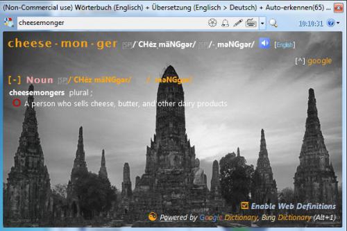 โปรแกรมแปลภาษา Dictionary.NET