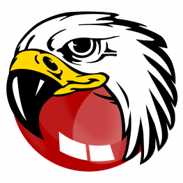 BlackHawk Web Browser : 