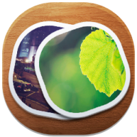 Arclab Thumb Studio (โปรแกรมทำอัลบั้มรูป สไลด์โชว์ HTML)