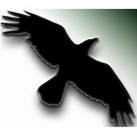 Data Crow (โปรแกรม Data Crow จัดการไฟล์สื่อบันเทิง ฟรี) : 