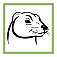 PCFerret (โปรแกรม ค้นหาไฟล์ครอบจักรวาล ฟรี)