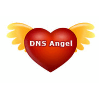 DNS Angel (โปรแกรม DNS Angel บล็อกเว็บไซต์)