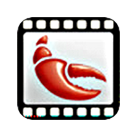 VideoLobster (โปรแกรม VideoLobster แปลงไฟล์วิดีโอ หลายชนิด)