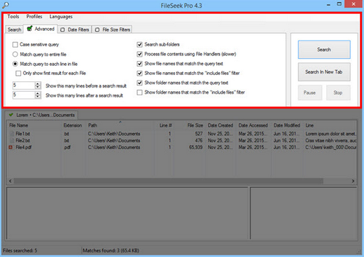 FileSeek (โปรแกรม FileSeek ค้นหาไฟล์ ละเอียดสุดๆ) : FileSeek (โปรแกรม FileSeek ค้นหาไฟล์ ละเอียดสุดๆ) :