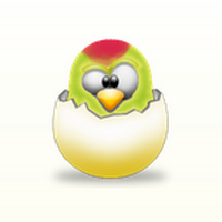 WinParrot (โปรแกรม WinParrot จำการเคลื่อนไหว เมาส์ คีย์บอร์ด) : 