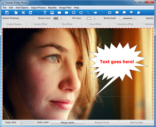 โปรแกรมแต่งรูปสุดแนว Toolwiz Pretty Photo 