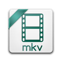 Meteorite (โปรกรม Meteorite ซ่อมไฟล์วิดีโอนามสกุล MKV)