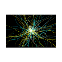 Tracer (โปรแกรม Tracer สร้างเอฟเฟค กับรูปภาพ สุดเจ๋ง)