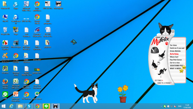 โปรแกรมเลี้ยงแมวบนหน้าจอ My Felix Cat