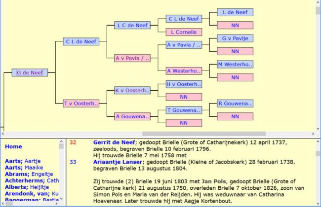 โปรแกรมสร้างแผนภูมิเครือญาติ Genealogica Grafica โปรแกรมสร้างแผนภูมิเครือญาติ Genealogica Grafica