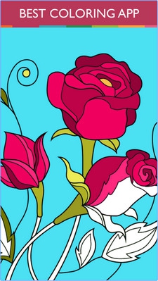 Colorfy (App ระบายสี Colorfy ระบายบำบัด ผ่อนคลาย) : Colorfy (App ระบายสี Colorfy ระบายบำบัด ผ่อนคลาย) :