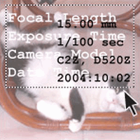 Exif Pilot (โปรแกรม Exif Pilot แก้ไขแท็ก EXIF IPTC และ IPTC)