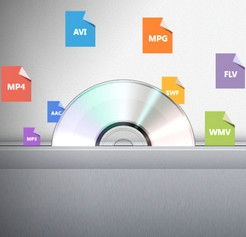 WonderFox DVD Ripper : WonderFox DVD Ripper :