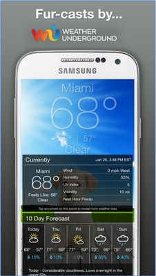 App หมาน้อยพยากรณ์อากาศ Weather Puppy