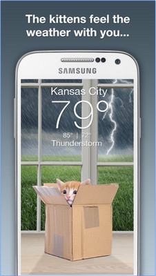 App  แมวพยากรณ์อากาศ Weather Kitty