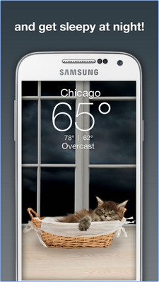 App  แมวพยากรณ์อากาศ Weather Kitty