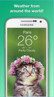 App  แมวพยากรณ์อากาศ Weather Kitty