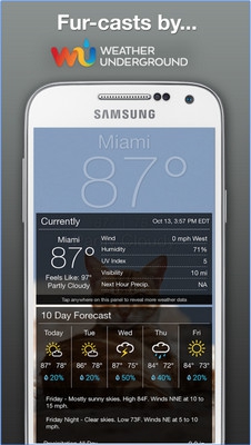 App  แมวพยากรณ์อากาศ Weather Kitty