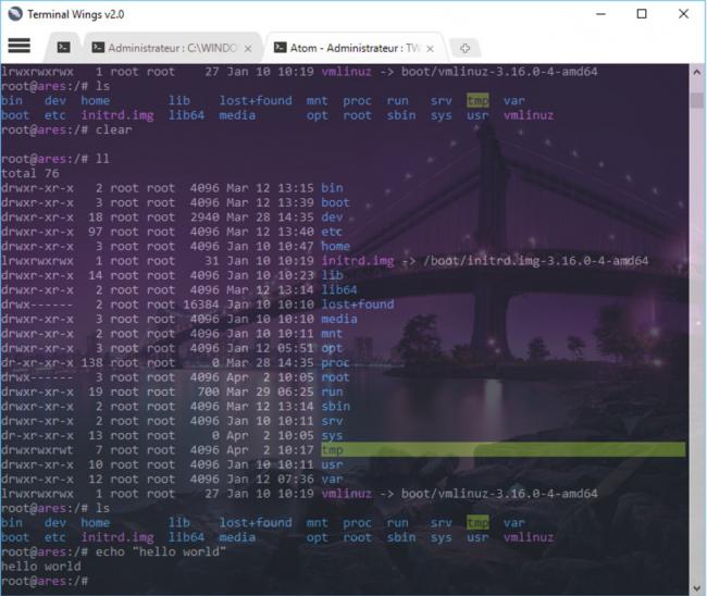 โปรแกรมพิมพ์คำสั่ง Chrome Terminal Wings