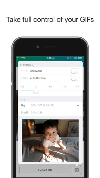 Lively (App แปลง Live Photo เป็น GIF หรือวิดีโอ) : Lively (App แปลง Live Photo เป็น GIF หรือวิดีโอ) :