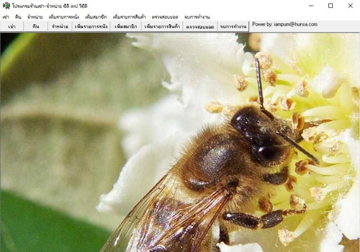 VDOcenter (โปรแกรม สำหรับ ร้านเช่า VDO และ VCD) : 