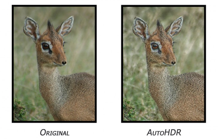 โปรแกรมแต่งรูป AutoHDR