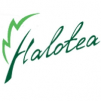 Halotea (โปรแกรม Halotea เปิดเพลง สร้างเสียงบรรยากาศแบบธรรมชาติ )
