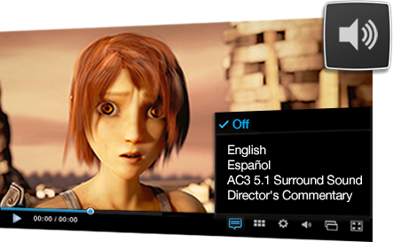 โปรแกรมเล่นไฟล์มัลติมีเดีย DivX โปรแกรมเล่นไฟล์มัลติมีเดีย DivX