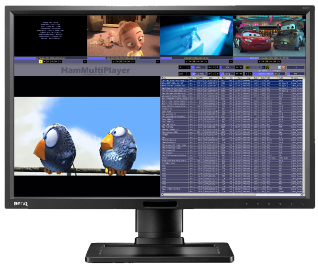 โปรแกรมเปิดวิดีโอพร้อมกัน HamMultiPlayer โปรแกรมเปิดวิดีโอพร้อมกัน HamMultiPlayer